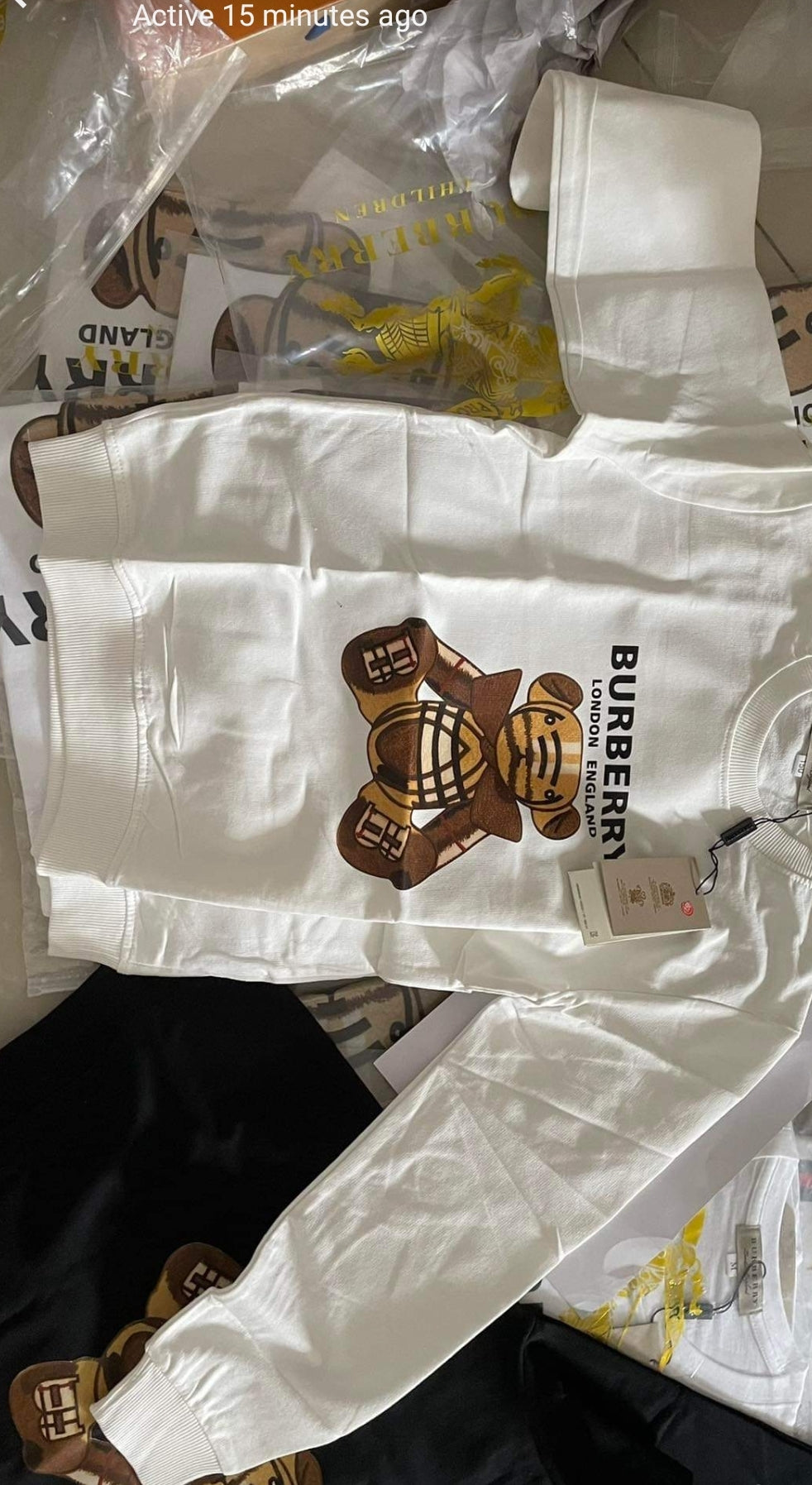 Kid bear sweatshirt (unisex )